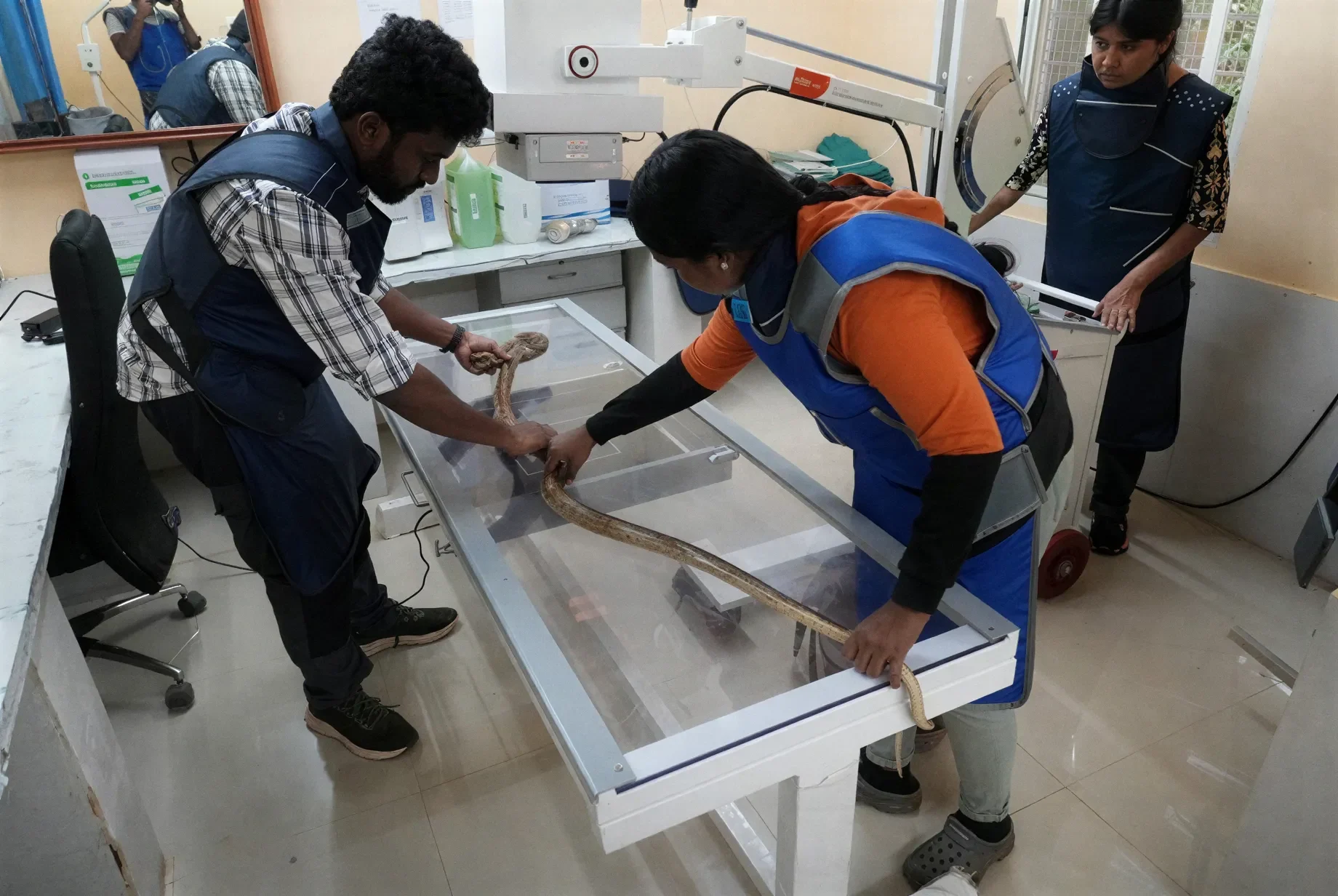 Project Slither Safe Reptile Conservation Supported by Towards Equal Foundation